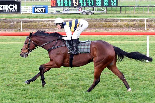 Mark Twain continues on Cup path