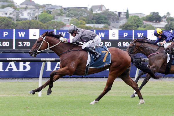 Master Fay ready for raceday return