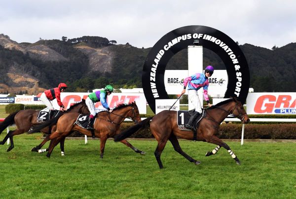 Second Wellington Hurdles Win for Nedwin