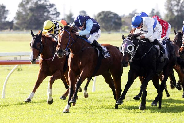 Pippy is looking to add to her consecutive victories on Finals Day