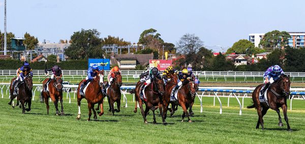 Trelawney Stud crowned Breeders of the Year