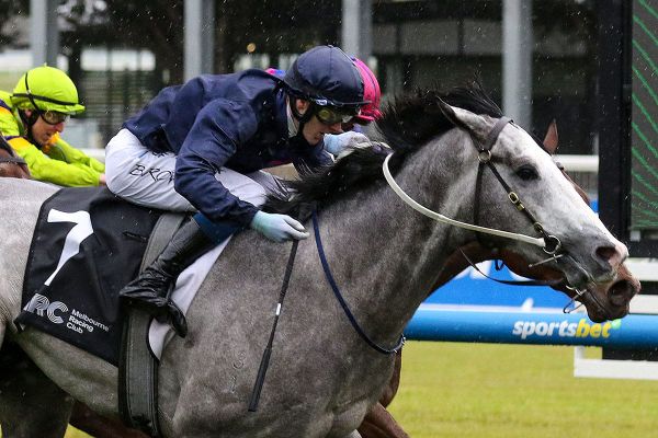 Public Attention puts himself on Group One path