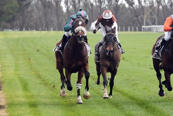 Reign It In strikes winning form