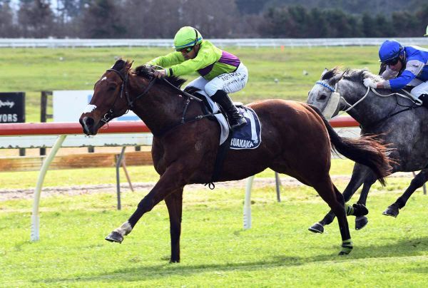 Shamus heads northern team for Murdochs