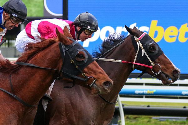 Showmanship shows off skills for Haunui