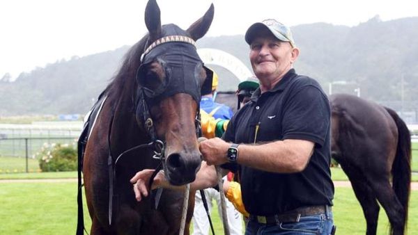 Promising two-year-olds to debut for Sharrock at Hawera