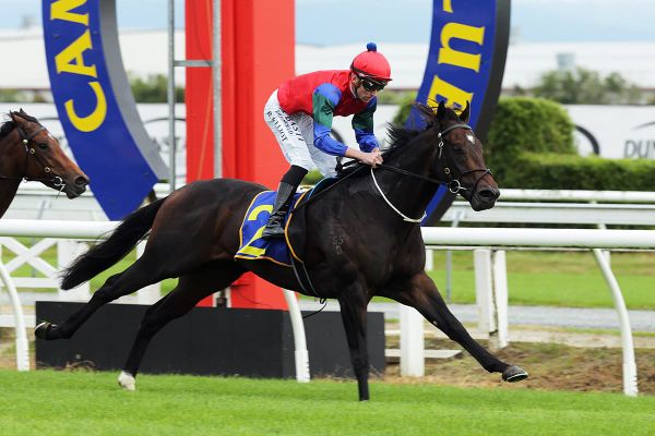 Solidify to target Livamol