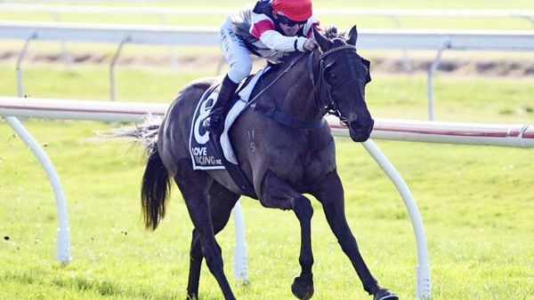 Ballymore stayer steps up