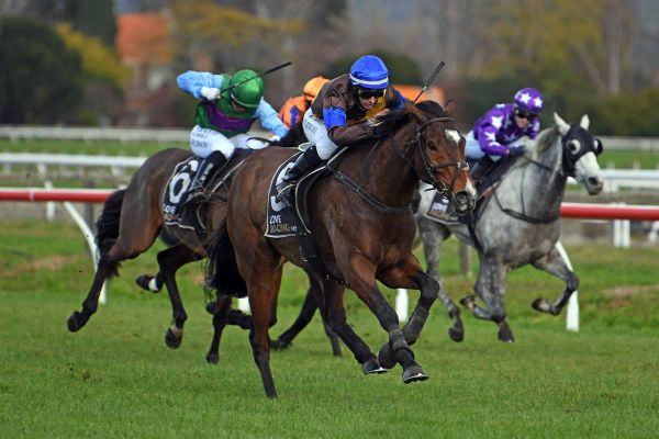 Curtain coming down on stellar jumping career