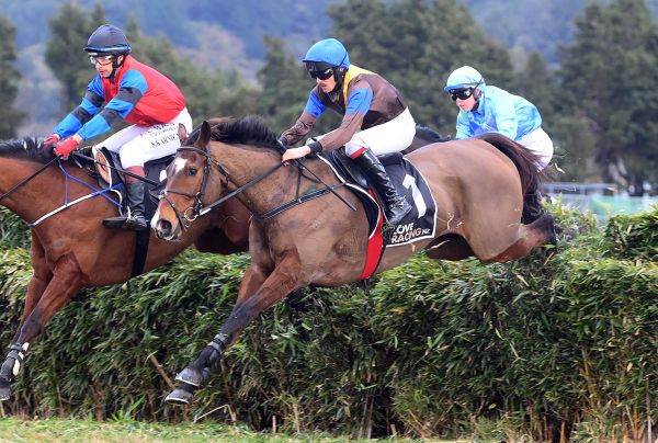 Wellington Steeplechase conqueror The Cossack