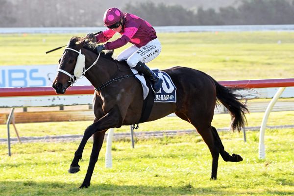 Local trainers Rae and Williams continue a successful run with Tide And Time