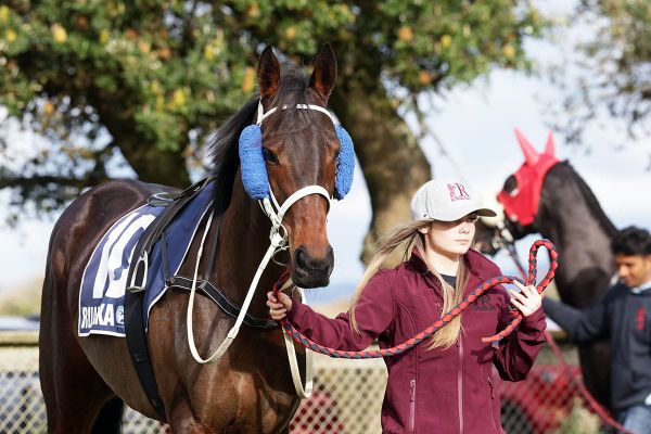 Rae pleased with his team leading into Finals Day
