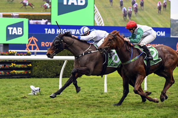 Victory Roll provides big return for new connections