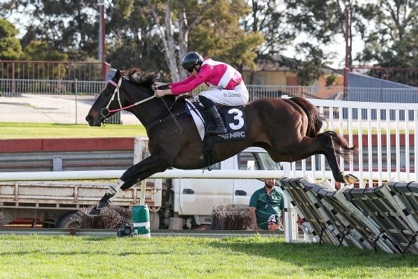 Affluential wins Australian Grand National Hurdle