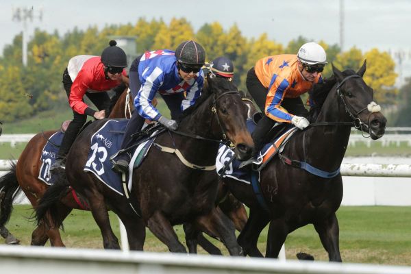 Alabama Lass bounding into spring campaign