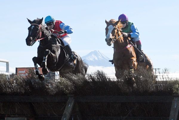 Brosnan relishing National opportunity