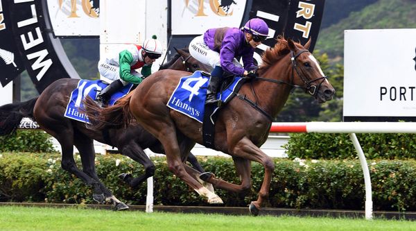 Belardo Boy ready to defend Winter Cup crown