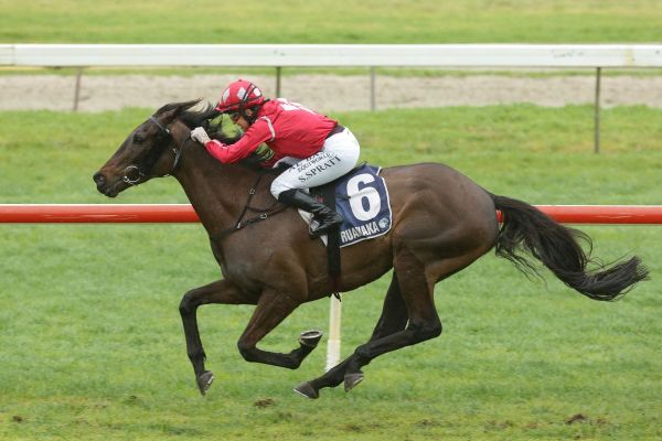 Bosch bold in Ruakaka redemption