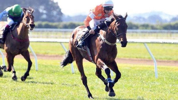 Captains Run warming up for National