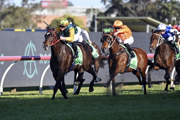 Brilliant Ceolwulf has Pride second guessing