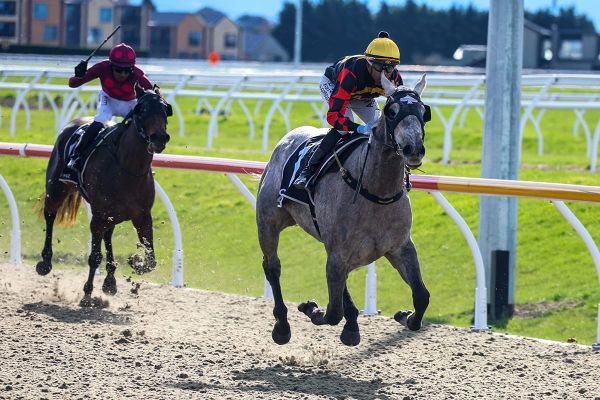 Diablo Blanco continues consistent form at Riccarton
