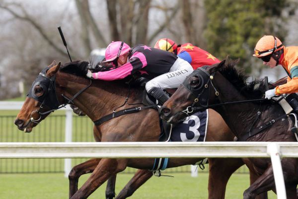 Diamond Jak caps memorable double for Brosnan brothers
