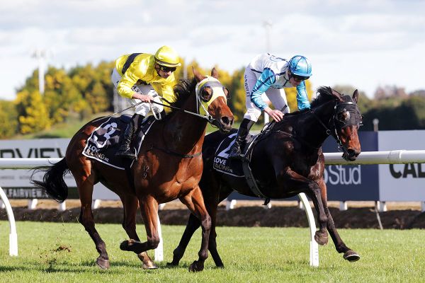 Double up for Dusty road at Te Rapa
