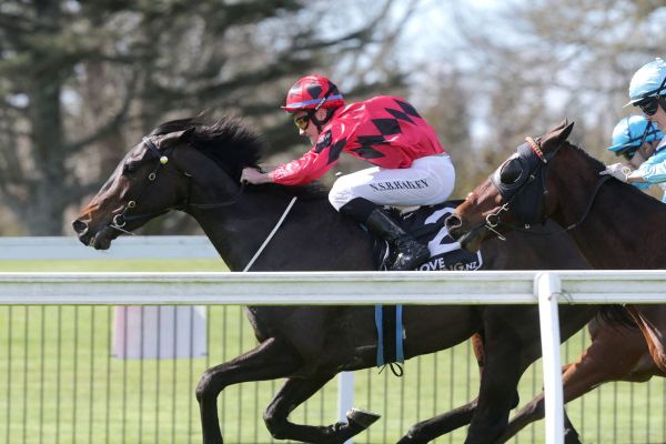 Wright aces season opener at Te Rapa