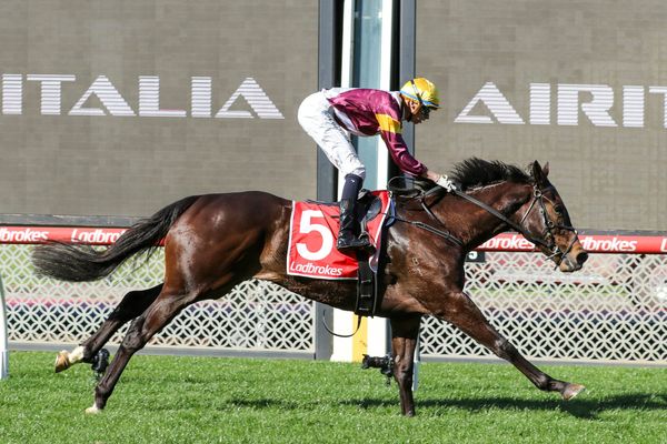 Improving Evaporate makes statement at The Valley