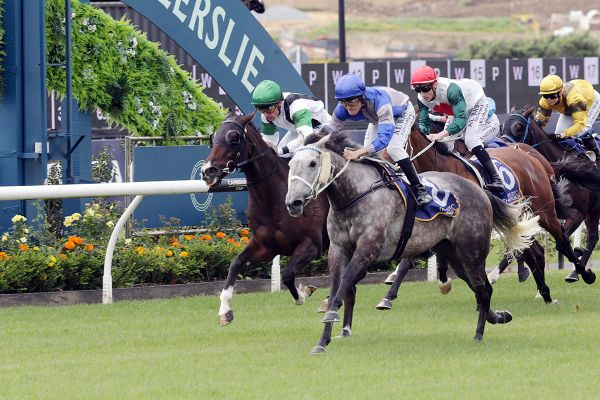 Gentian Blue is tackling Caulfield riches