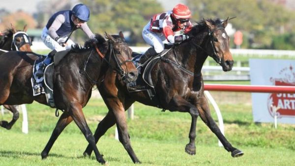 Gohugo to resume at Taupo