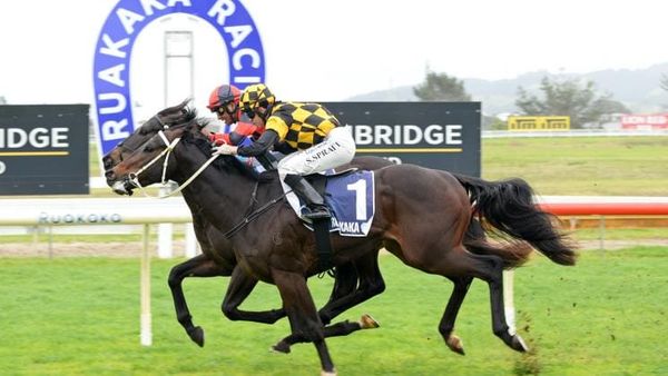 Chicago Jack and I’m All In dead-heat season opener