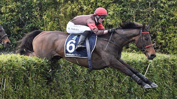 Famous colours salute in Pakuranga Hunt Cup