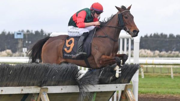 Jakama Krystal continues stellar weekend for stable