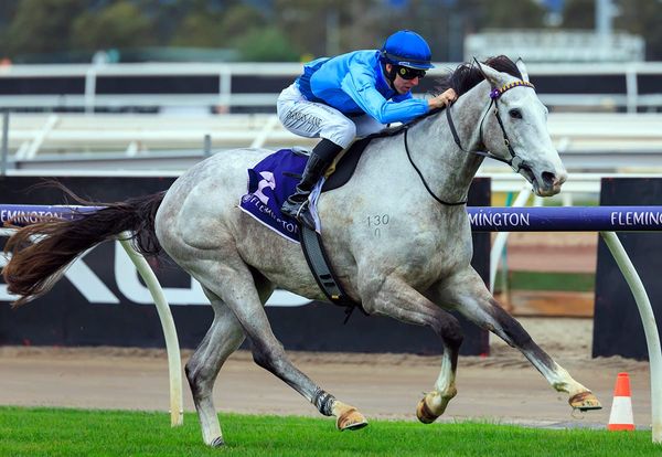 Browne hoping Zebra hasn’t changed stripes