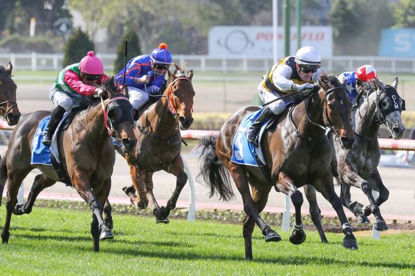 Lincoln Rocks returns to The Valley 