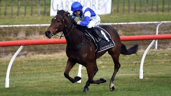 Martell out to continue his purple patch of form