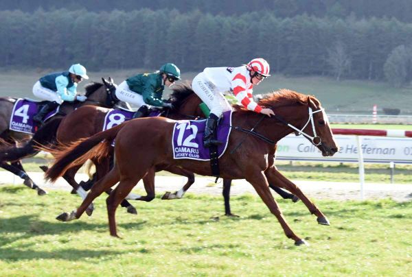 Turning of the tide for Riverton horse trainer