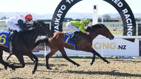 Century up for the Ritchie/Murray partnership