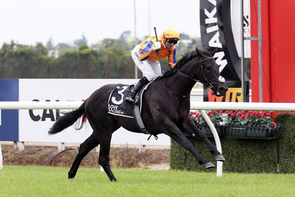 Te Akau trialists excited ahead of spring return