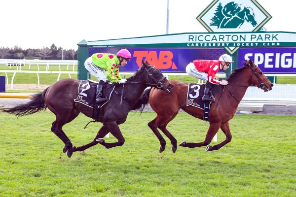 Mystic Park makes an impressive return