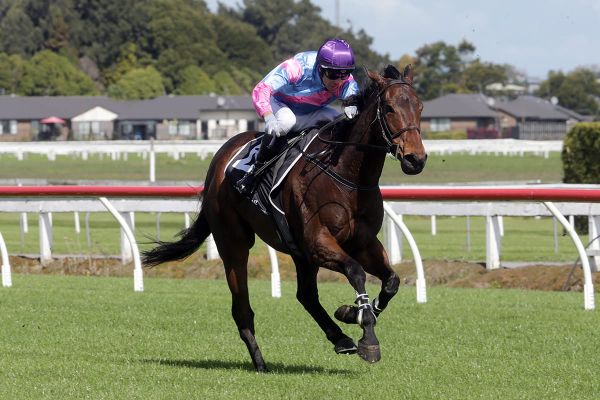 Top stablemates go head-to-head in the Pakuranga Hurdle