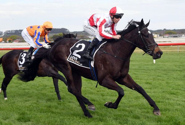 Read About It impressive in Listed Wanganui Guineas
