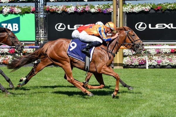 Sans Doute ready to return to the Valley