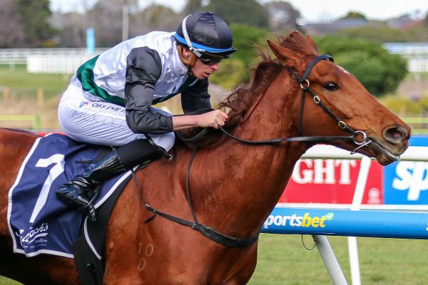 Dawn rises to challenge