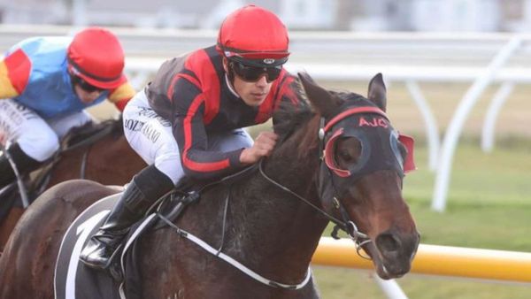 Carston tackling domestic features on synthetic