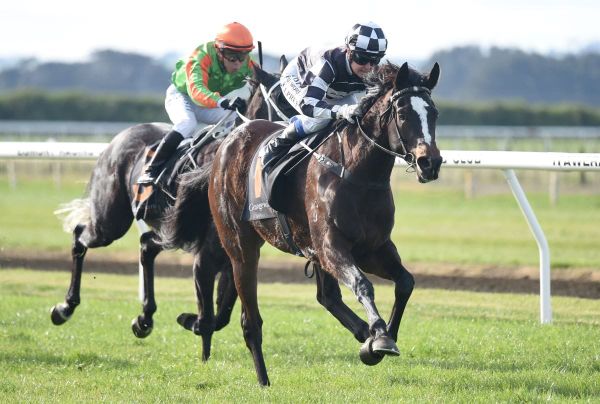 New additions for Sharrock shine at Hawera