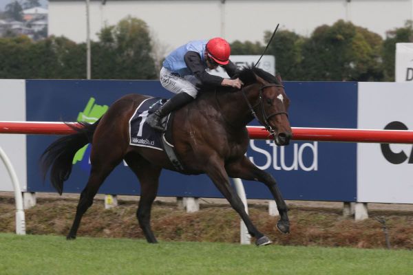 Suit Yourself scores poignant Te Rapa victory