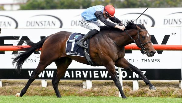 Suit Yourself scores poignant victory at Te Rapa