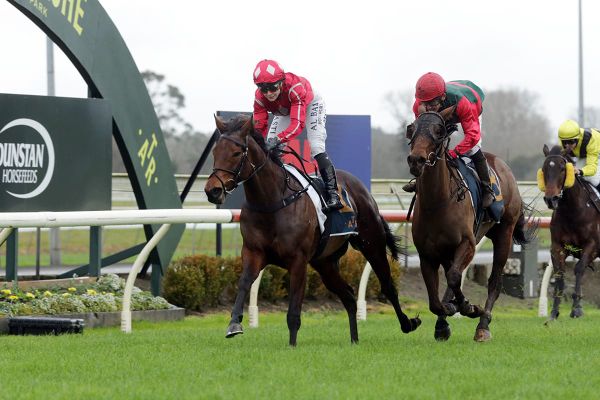 Sulabella vying for home turf hattrick